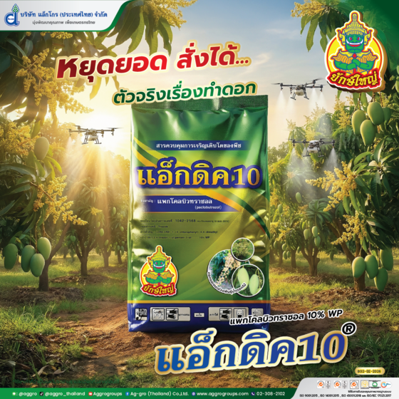 Artboard 1 copyAW แอ็กดิค 10 AG ปี69 Line3